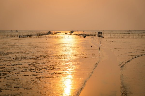 Comment organiser une visite des villages traditionnels de la vallée de l'Omo en Éthiopie?