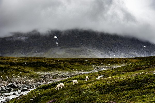 Quels sont les conseils pour une randonnée dans les montagnes de l'Atlas au Maroc?